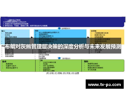 布朗对灰熊管理层决策的深度分析与未来发展预测