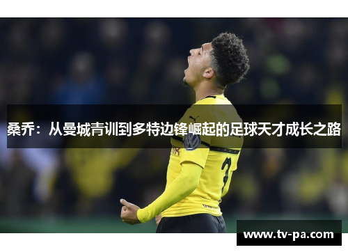桑乔：从曼城青训到多特边锋崛起的足球天才成长之路