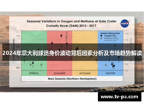 2024年意大利球员身价波动背后因素分析及市场趋势解读