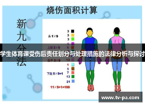 学生体育课受伤后责任划分与处理措施的法律分析与探讨