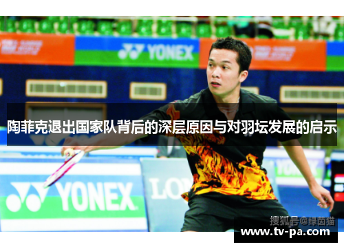 陶菲克退出国家队背后的深层原因与对羽坛发展的启示