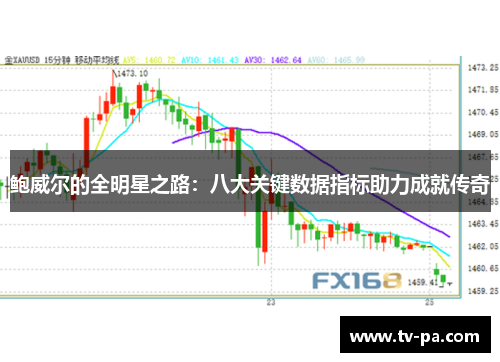 鲍威尔的全明星之路:八大关键数据指标助力成就传奇