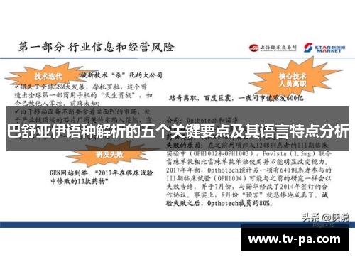 巴舒亚伊语种解析的五个关键要点及其语言特点分析 巴舒亚伊语种解析的五个关键要点及其语言特点分析