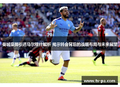 曼城豪掷引进马尔穆什解析 揭示转会背后的战略布局与未来展望
