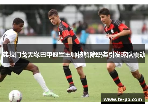 弗拉门戈无缘巴甲冠军主帅被解除职务引发球队震动 弗拉门戈无缘巴甲冠军主帅被解除职务引发球队震动