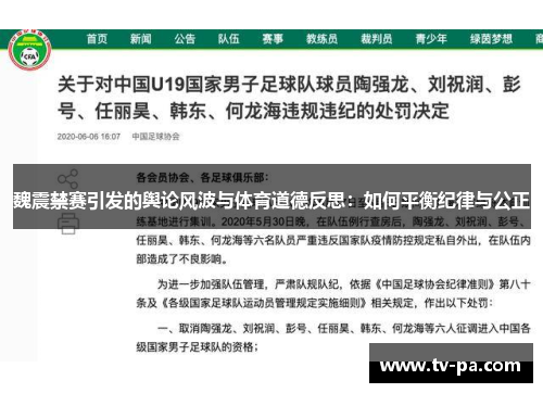 魏震禁赛引发的舆论风波与体育道德反思：如何平衡纪律与公正