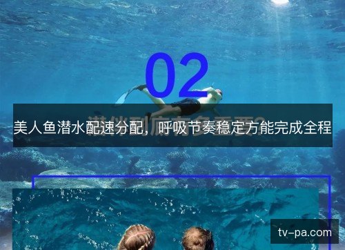 美人鱼潜水配速分配,呼吸节奏稳定方能完成全程 美人鱼潜水配速分配,呼吸节奏稳定方能完成全程